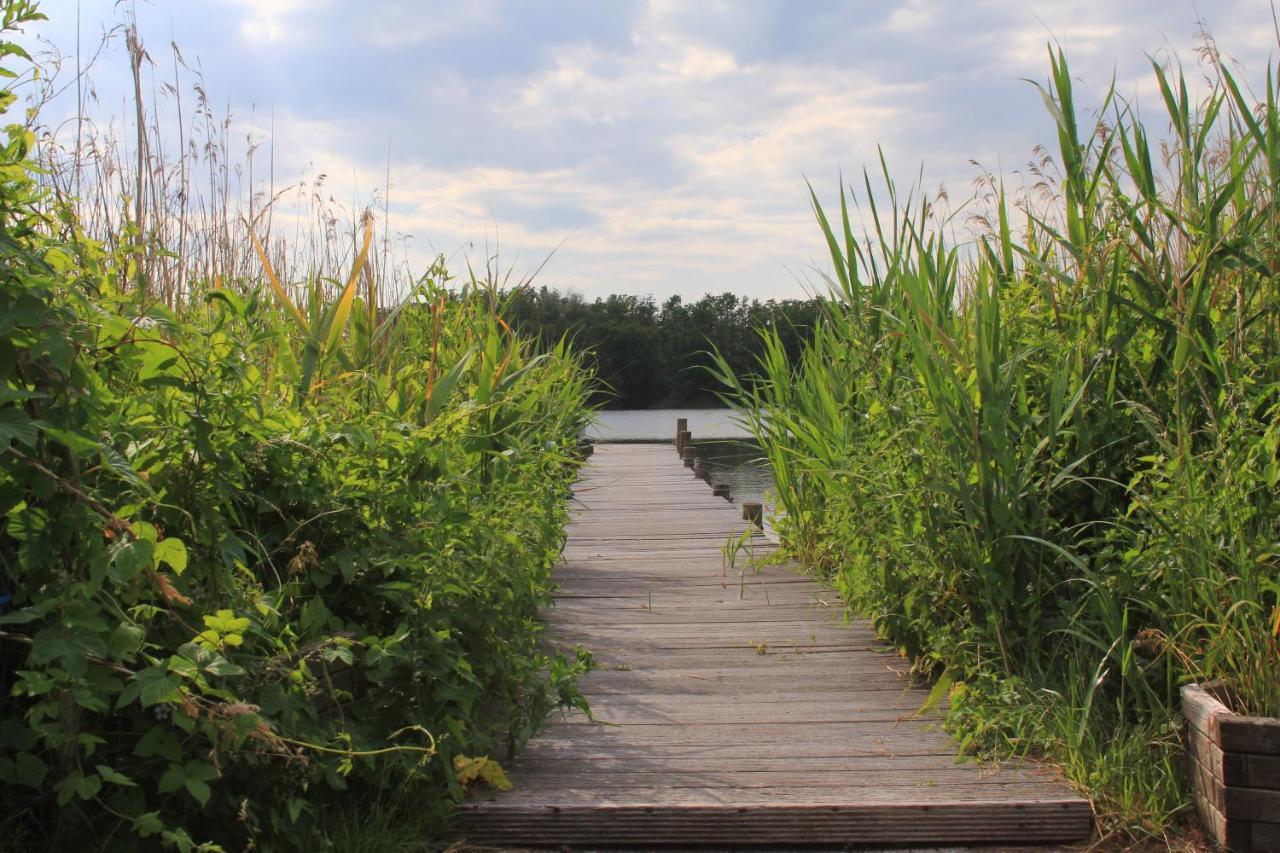 Moderne Und Helle Ferienwohnung Am Ploener See Bosau Dış mekan fotoğraf